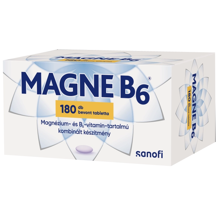 Magne B6